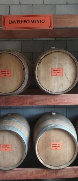 WhatsApp Image 2022-12-14 at 09.59.16